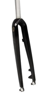 Carbon best sale disc fork